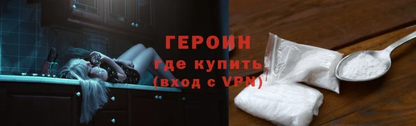 гидра Кодинск